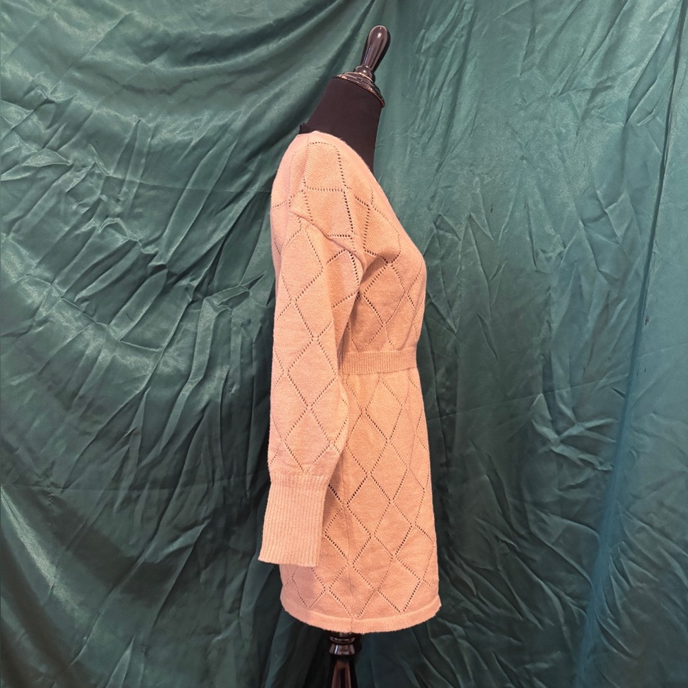 Lace-Trimmed Sweater Dress NWT - Picture 4 of 8